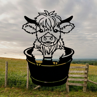 Cow in a bucket