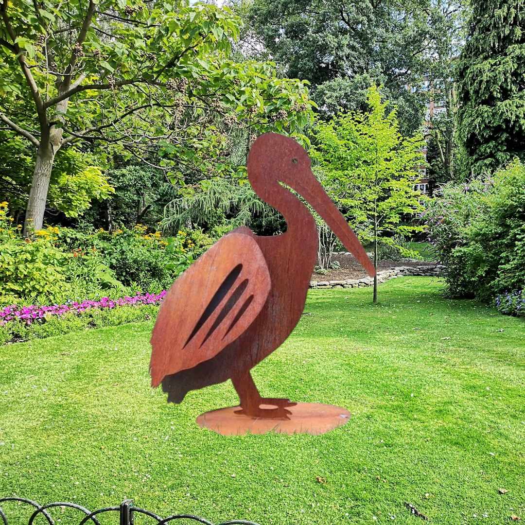 3D Pelican